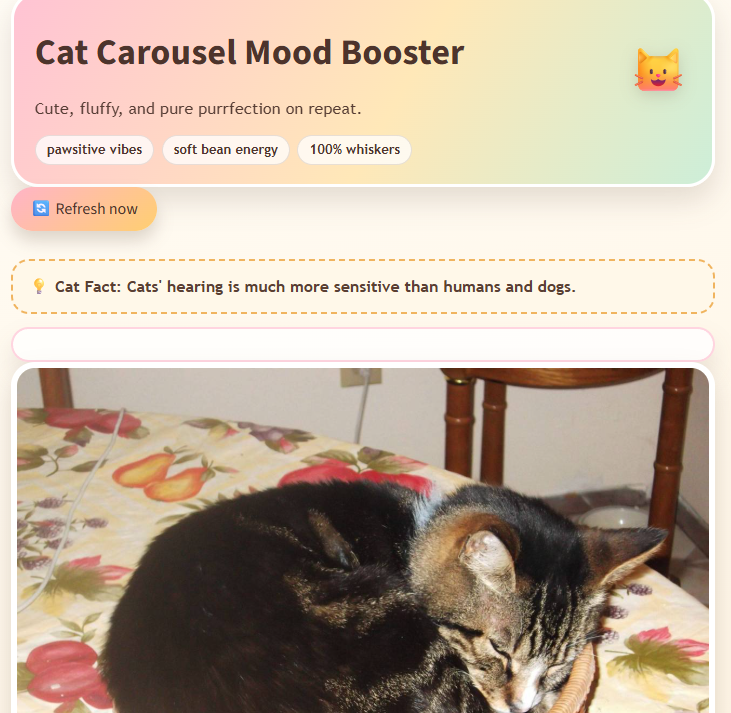 Thumbnail af dashboardet Cat Carousel Mood Booster